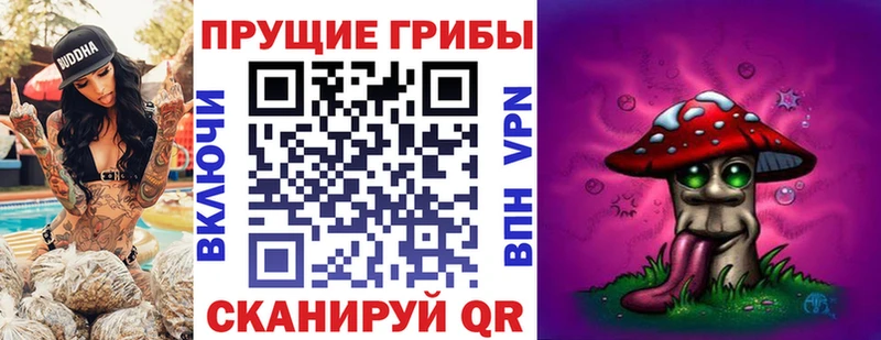 Галлюциногенные грибы мицелий  как найти закладки  Ивангород 
